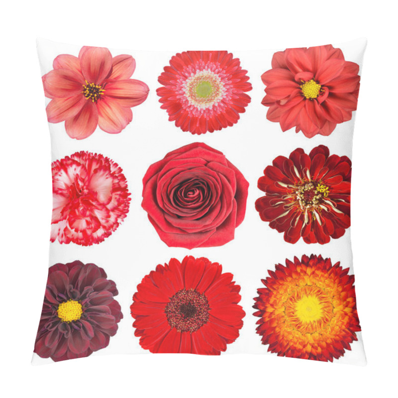 Personality  Selection Of Red Flowers Isolated On White Pillow Covers