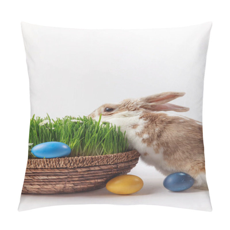 Personality  Rabbit Near Easter Basket With Grass And Eggs, Easter Concept Pillow Covers