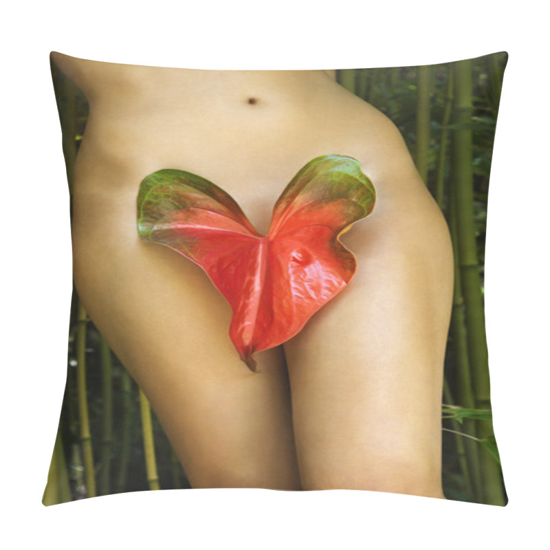 Personality  Nude Woman In Nature. Pillow Covers