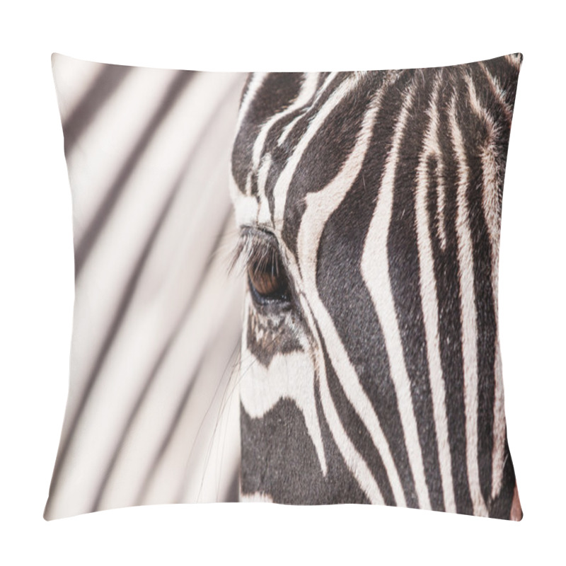 Personality  Zebra Portrait Pillow Covers