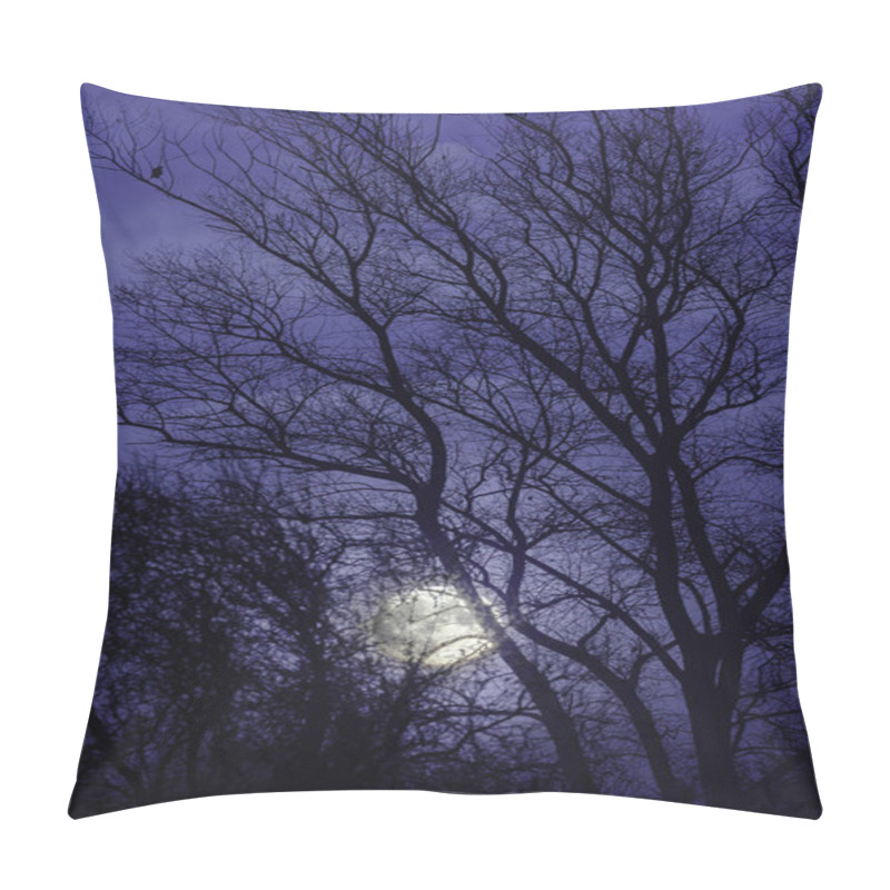 Personality  Moon And Moonlight Shining Through The Bare Winter Trees With A Dark Night Blue Sky Pillow Covers