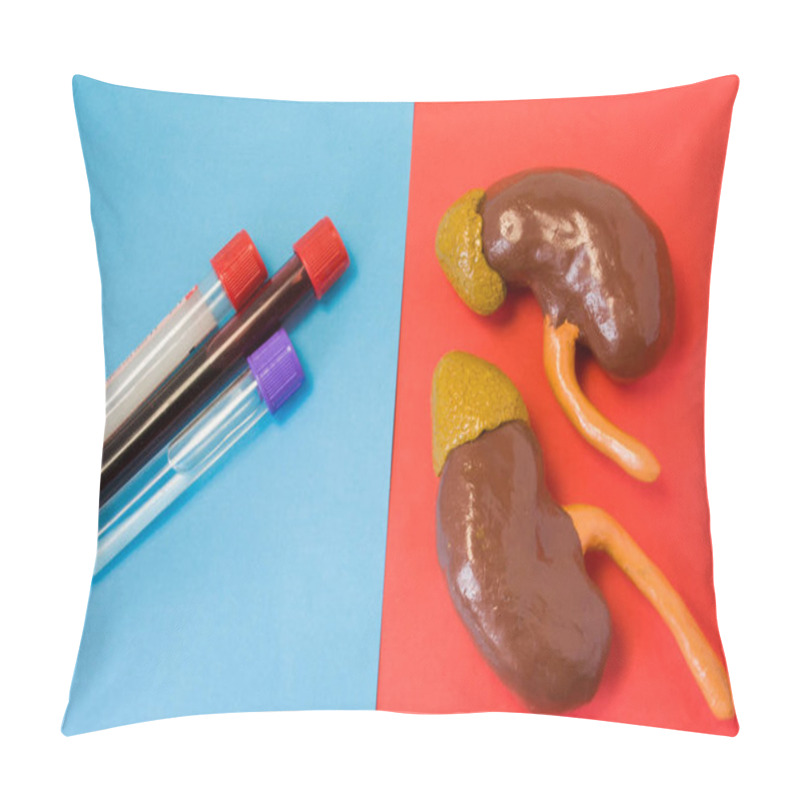 Personality  Laboratory Diagnosis Of Metabolic Function, Diseases, Biochemical Violations, Damage And Abnormalities Of Kidneys. Kidneys And Laboratory Test Tubes Lie Opposite Each Other On Red And Blue Backgrounds Pillow Covers