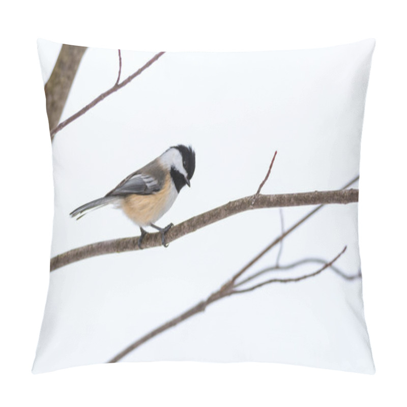 Personality  Springtime Comes, Black Cap Chickadee, Poecile Atricapillus, On A Branch On A Very Early, Grey Spring Day In Early March.  Happy That The Day Is Mild And Anticipating The Arrival Of Spring. Pillow Covers