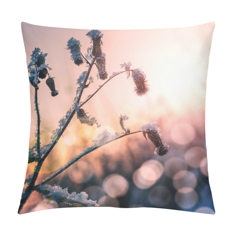 Personality  Plant On A Sunny Day In December. Pillow Covers