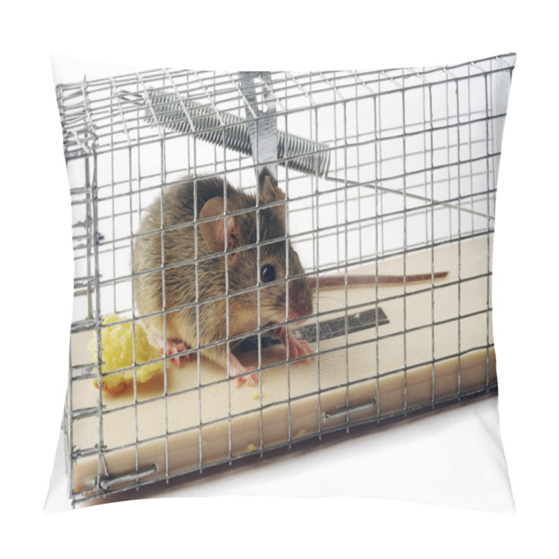 Personality  Scoop Or Mouse Trap Pillow Covers