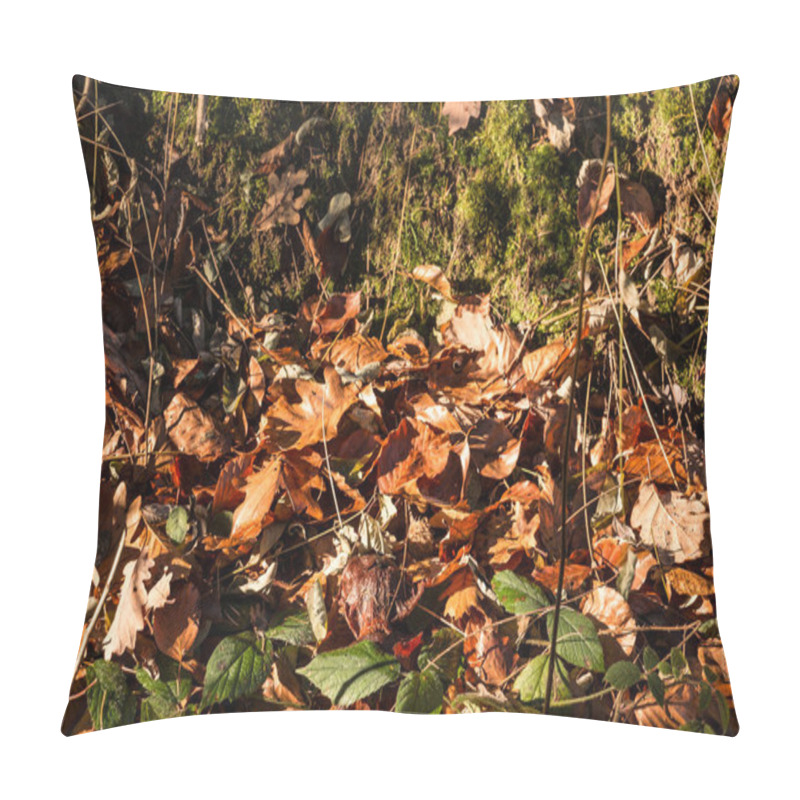 Personality  Fallen Brown Leaves And Moss In The Middle Of The Forest Pillow Covers