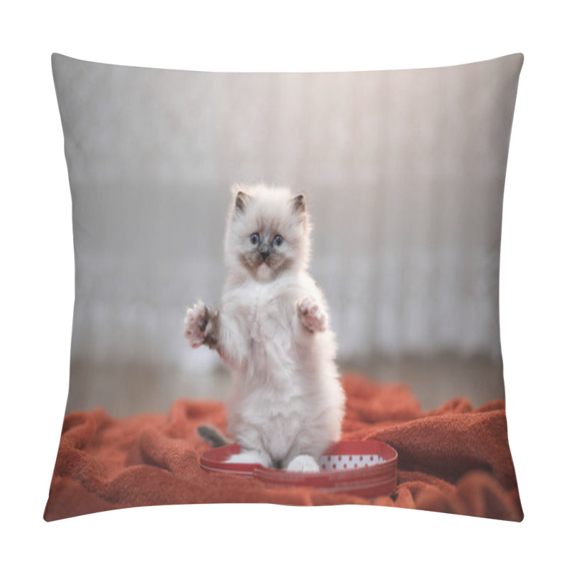 Personality  Cute Kitten With A Heart. Pet On 14 February. Cat At Home On A Soft Blanket Pillow Covers