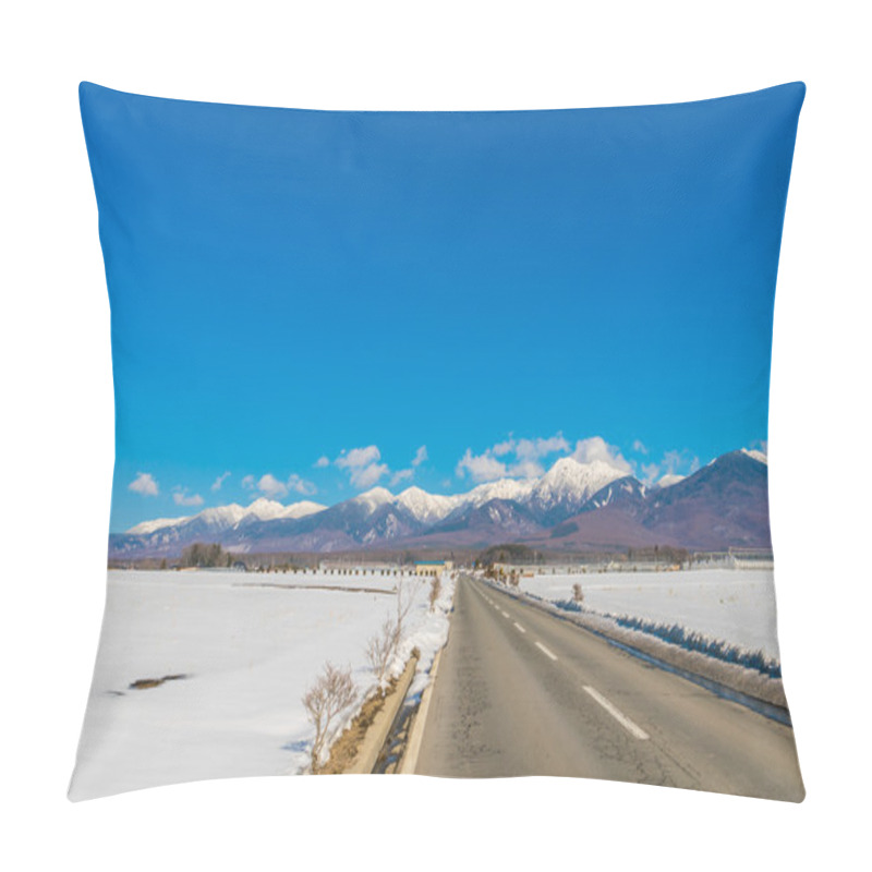 Personality  Road To Mountain In  Winter ( Japan ) Pillow Covers