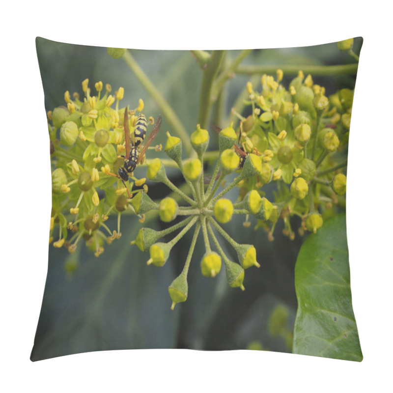 Personality  Close Up Of Bees On The Ivy Flowers Pillow Covers