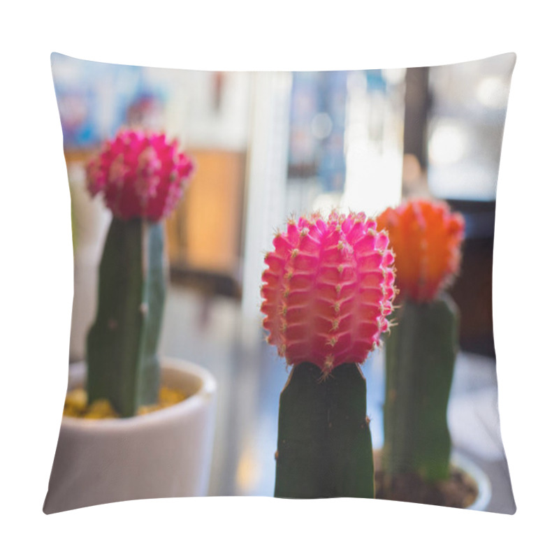 Personality  Cactus Flower In Cute Small Pots Pillow Covers