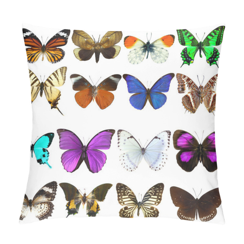 Personality  Collection Of Beautiful Tropical Butterflies Isolated On White Background Pillow Covers