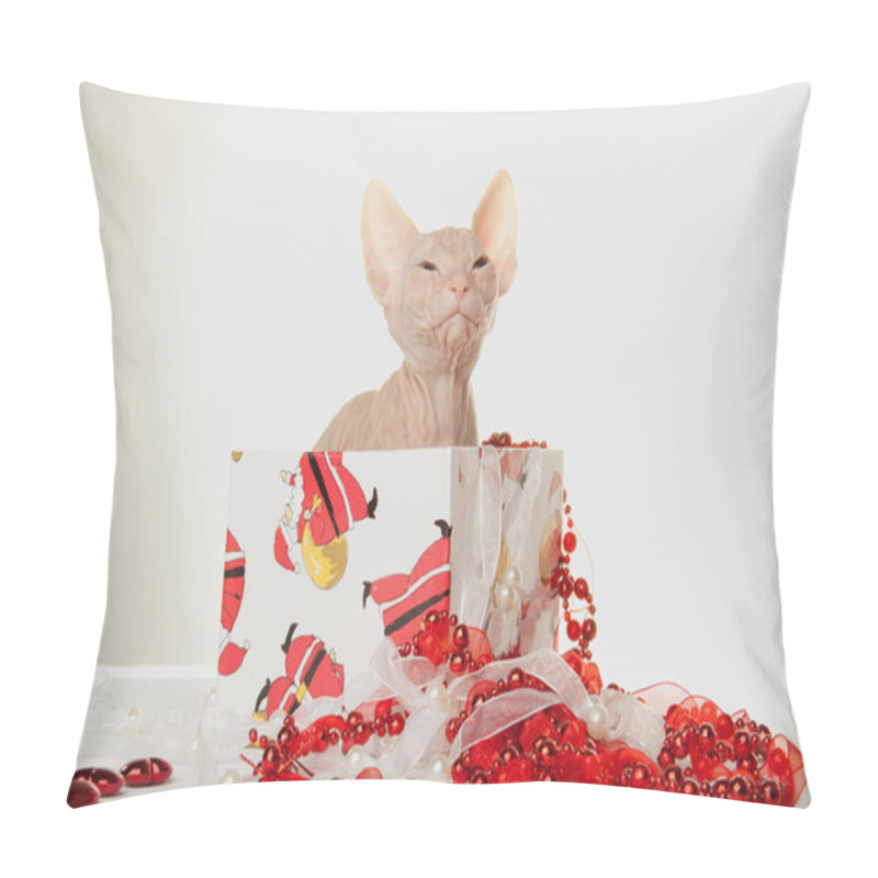 Personality  Lovely Kitten Of Sphinx Seating In Christmas Giftbox Pillow Covers