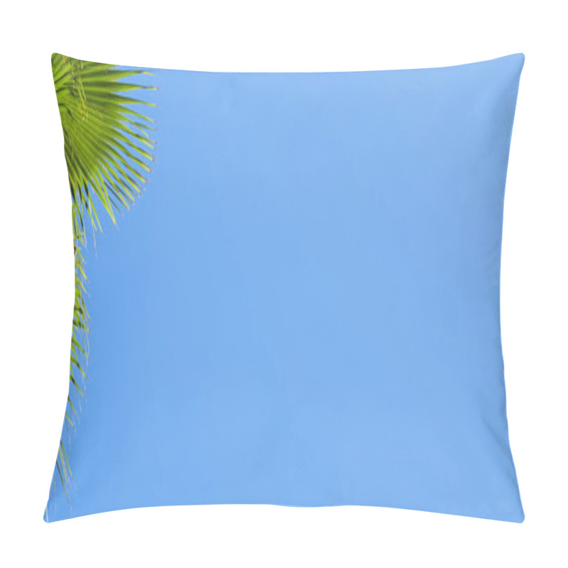 Personality  Green Palm Leaves On A Blue Clear Sky Background. Isolate The Leaves Of The Date Palm For The Banner, Advertisement, Business Card Pillow Covers