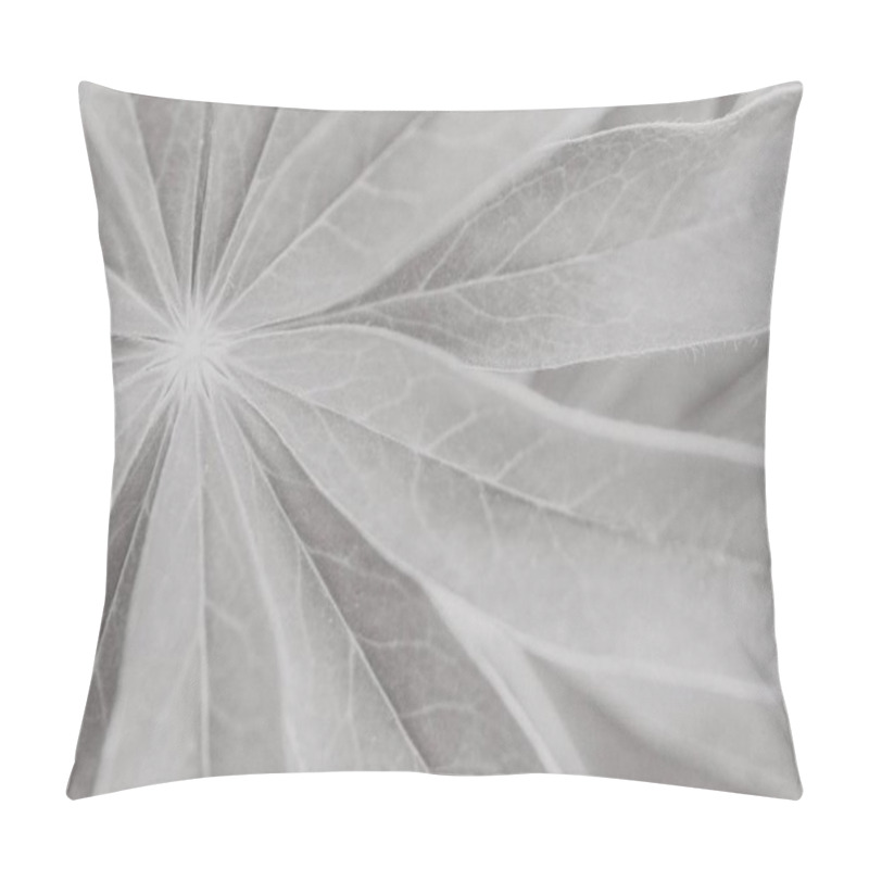 Personality  Closeup Greyscale Shot Of A Leafy Plant Wallpaper Pillow Covers