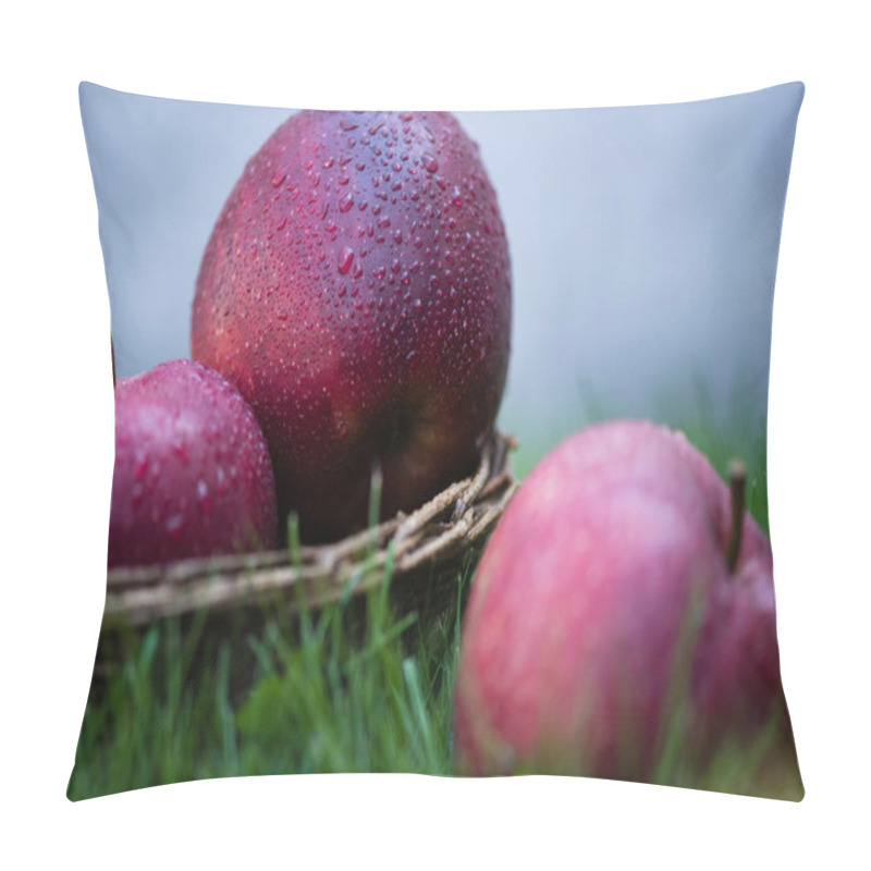 Personality  Fresh Ripe Apples In Grass  Pillow Covers