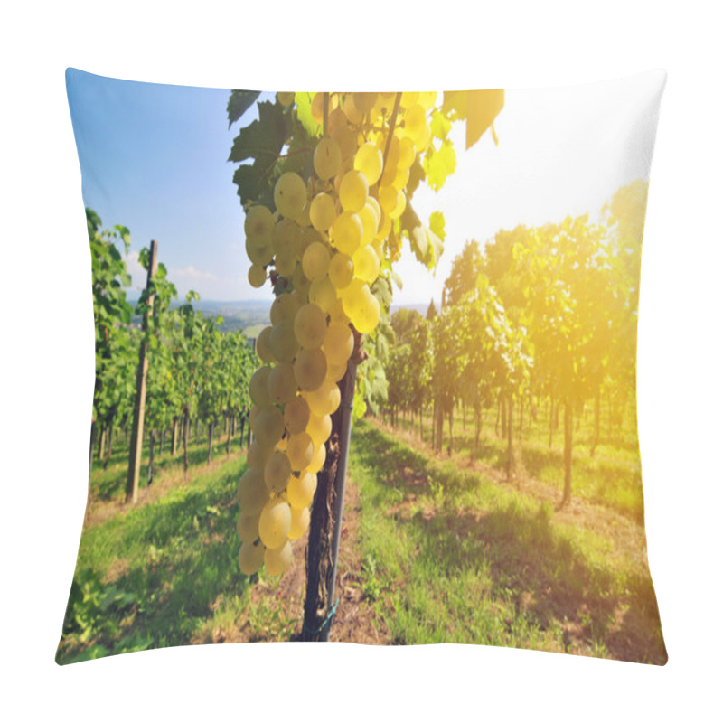 Personality  White Grapes Lit By The Sun Pillow Covers