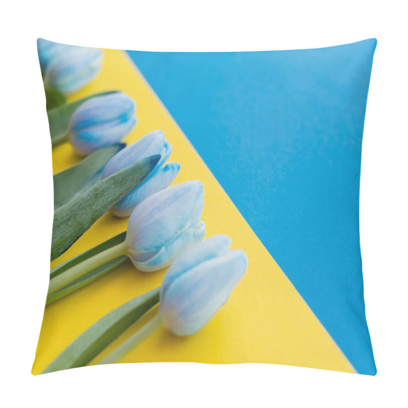 Personality  Close Up View Of Blue Tulips On Ukrainian Flag Pillow Covers