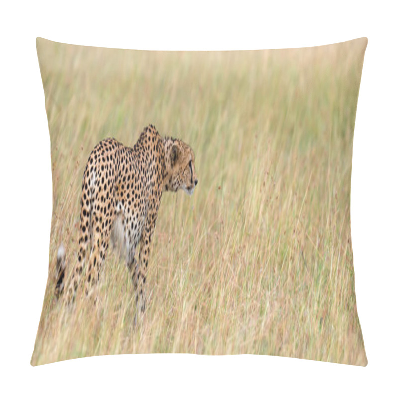 Personality  Wild African Cheetah, Beautiful Mammal Animal. Africa, Kenya Pillow Covers