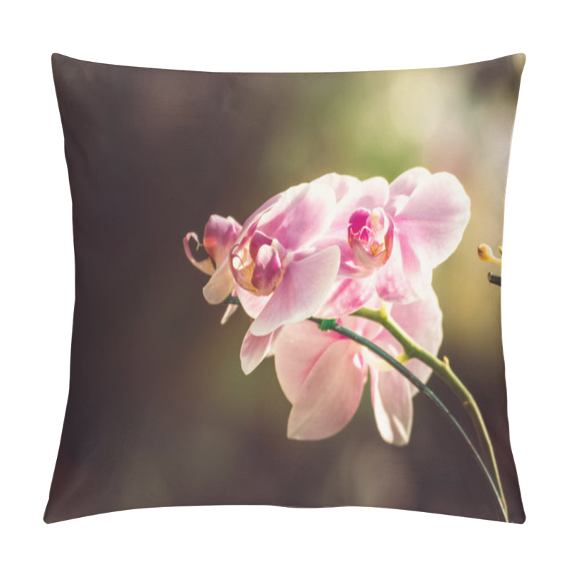 Personality  Beautiful Blooming Orchids In Forest Pillow Covers