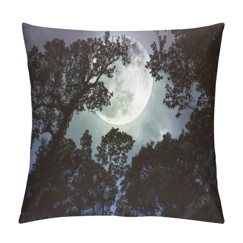 Personality  Silhouette The Branches Of Trees Against Night Sky With Full Moon. Pillow Covers