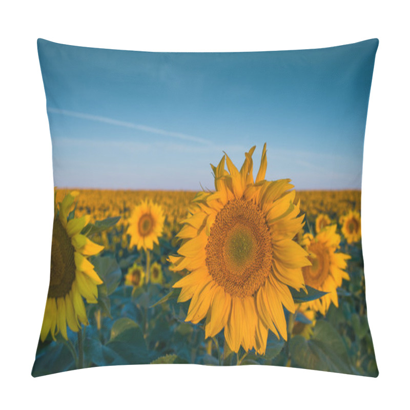 Personality   Sunflowers Pillow Covers