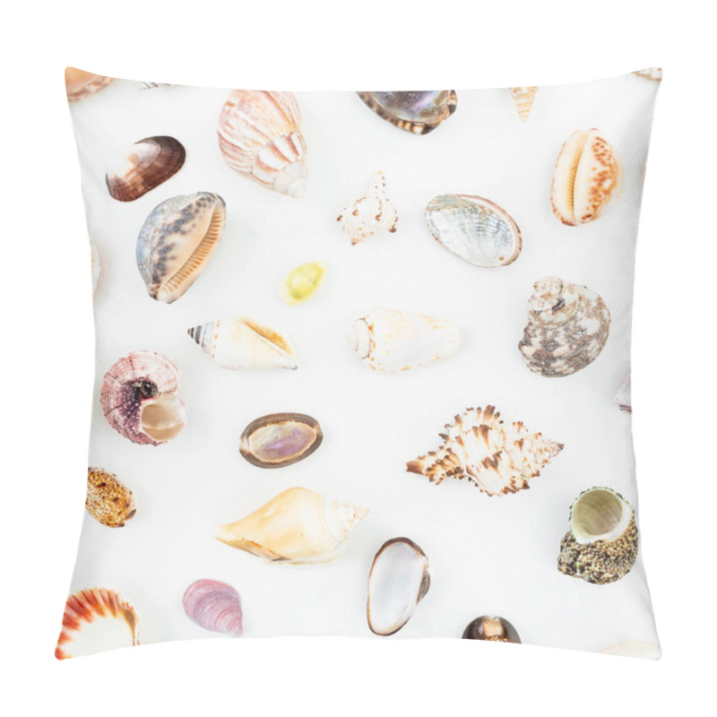 Personality  Various Sea Shells On White Pillow Covers