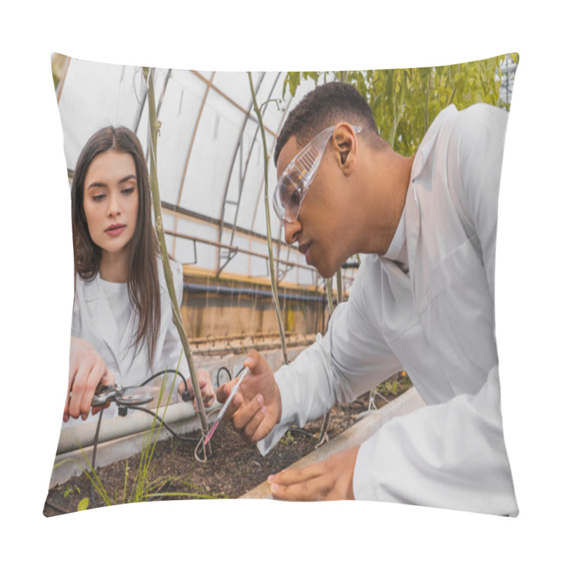 Personality  African American Botanist In Goggles Holding Syringe Near Colleague With Secateurs And Plants In Greenhouse  Pillow Covers