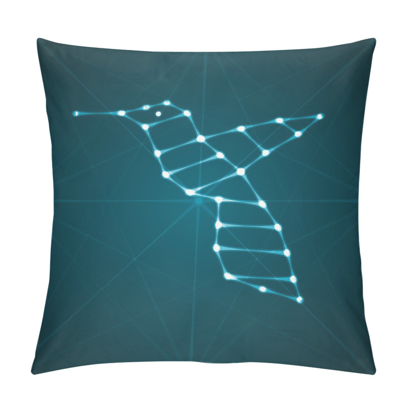 Personality  Abstract Hummingbird Illustration Pillow Covers