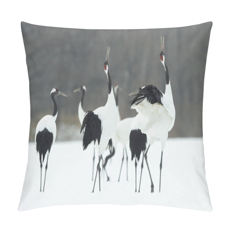 Personality  The Ritual Marriage Dance Of Cranes. The Red-crowned Cranes. Scientific Name: Grus Japonensis, Also Called The Japanese Crane Or Manchurian Crane, Is A Large East Asian Crane. Pillow Covers