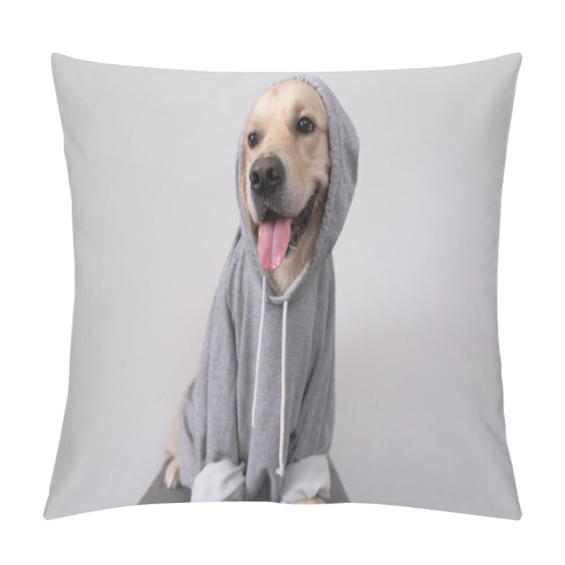 Personality  A Dog In A Gray Sweatshirt With A Hood. Golden Retriever In Clothes Sits On A White Background. Pillow Covers