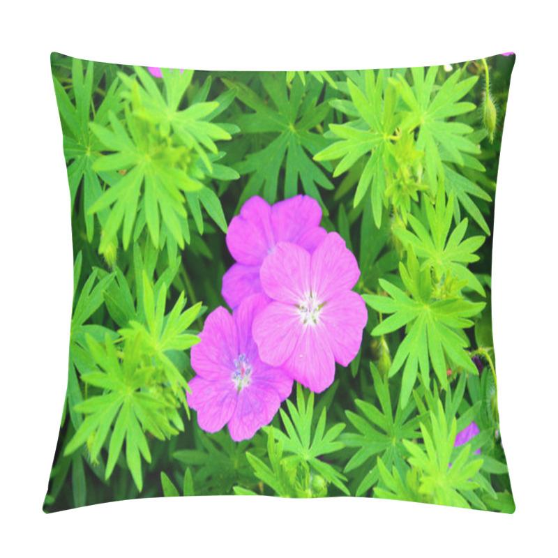 Personality  Pink Small Flowers In A Flower Bed In The Garden. Flowering Shrubs. Pillow Covers