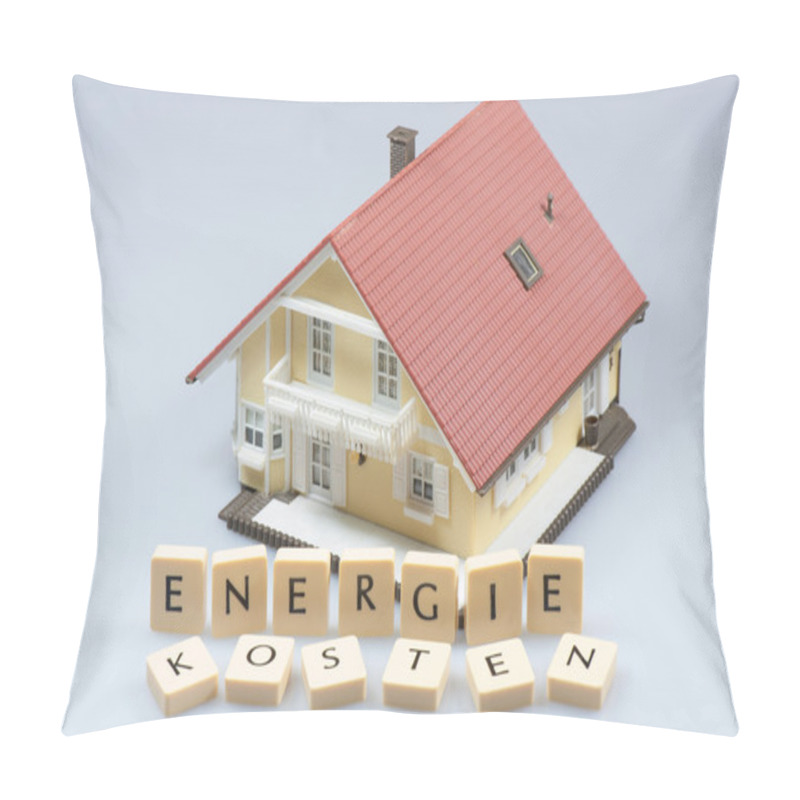 Personality  Model From A House And His Energy Cost Pillow Covers