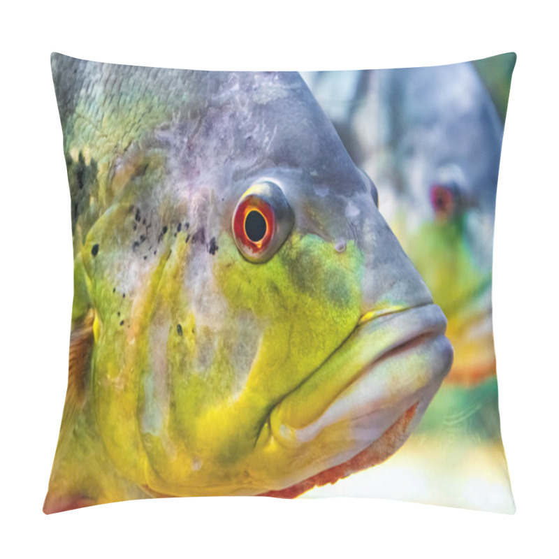 Personality  Speckled Pavon, Cichla Temensis. Giant Predatory Cichlid From South America Pillow Covers