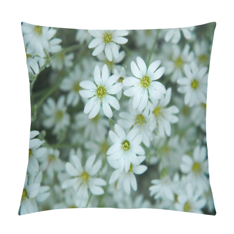 Personality  White Flower In Garden. Field Of Small White Flowers Shooting With Soft Focus. Fresh Wild Flowers For Romantic And Eco Design. Blurred Backdrop Pillow Covers