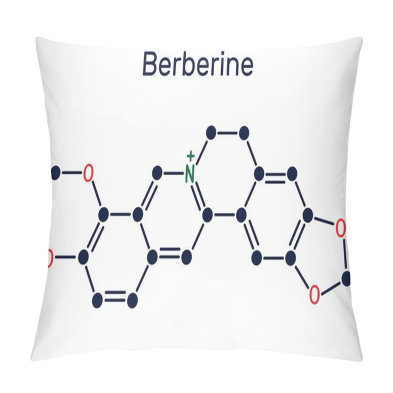 Personality  Berberine C20H18NO4, Herbal Alkaloid Molecule. Structural Chemical Formula. Vector Illustration Pillow Covers