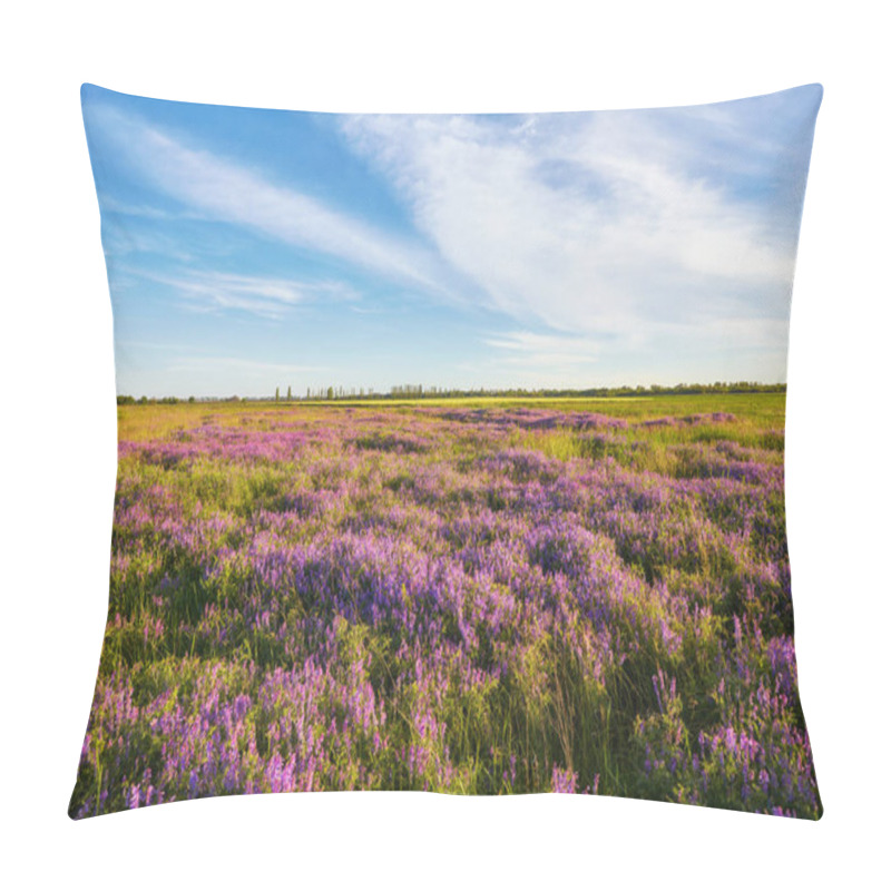 Personality  Purple Flowers On A Meadow And Sunset Pillow Covers