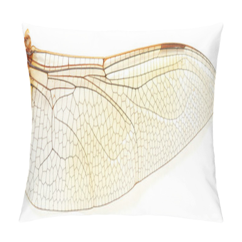 Personality  Extreme Closeup Of A Dragonfly's Wing. Pillow Covers