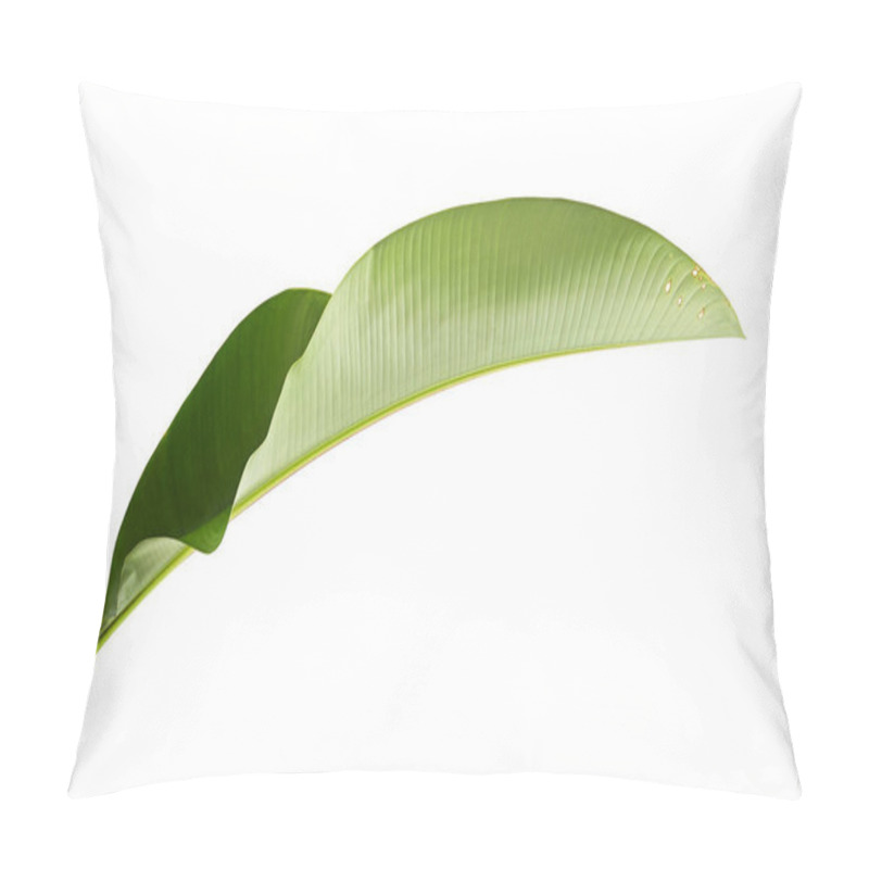 Personality  Strelitzia Reginae, Heliconia, Tropical Leaf, Bird Of Paradise Foliage Isolated On White Background, With Clipping Path Pillow Covers