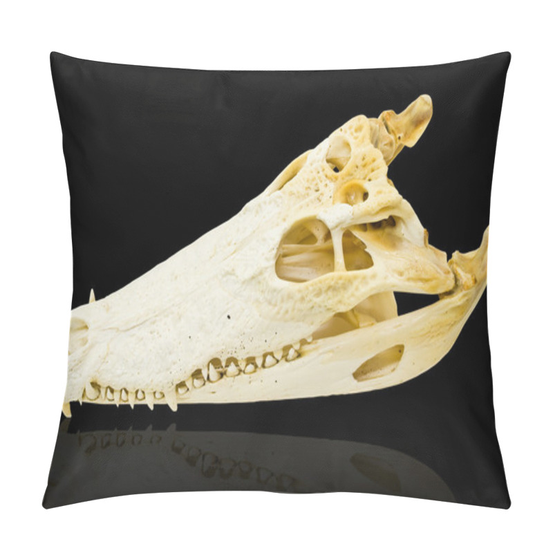 Personality  Freshwater Crocodile Bone Skull Isolated On The Black With Clipping Path. Pillow Covers