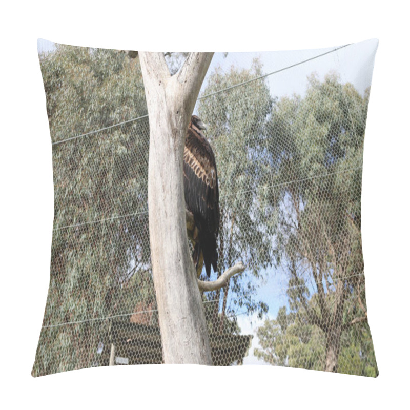 Personality  Wedge-tailed Eagle (Aquila Audax) Perched On A Dead Tree. Pillow Covers