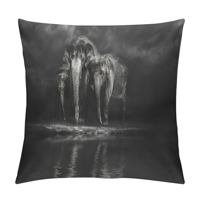 Personality  Group Of Elephants At Watering Pillow Covers