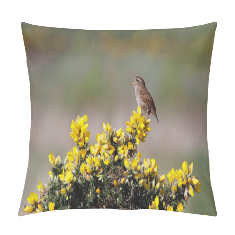 Personality  Wren Singing From A Gorse Bush In Spring Sunshine Pillow Covers