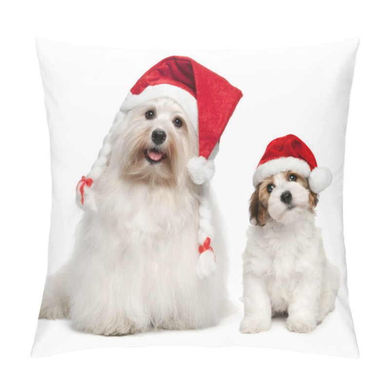 Personality  Father And Son Bichon Havanese Dogs In Christmas Hats Pillow Covers