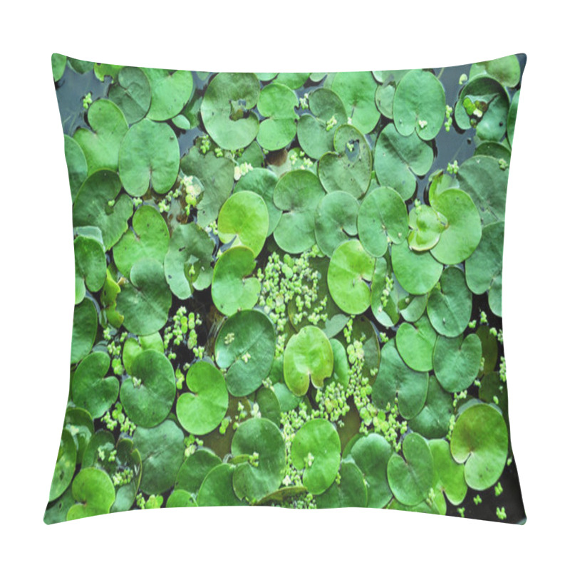 Personality   Water Lily Leaves Texture Pillow Covers