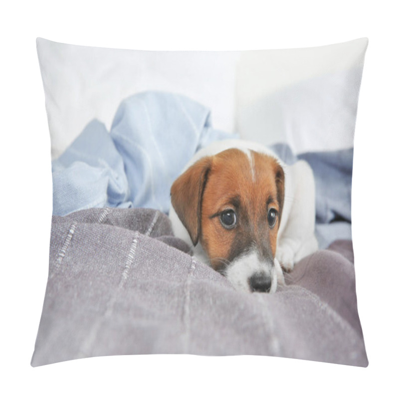 Personality  Cute Funny Puppy Pillow Covers