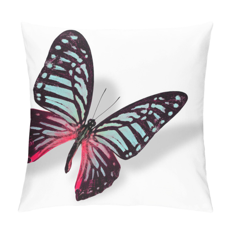 Personality  Beautiful Flying Blue And Red Butterfly Isolated On White Background With Soft Shadow Pillow Covers