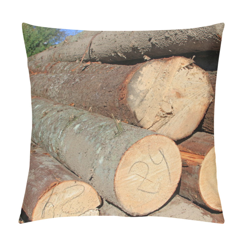 Personality  Wood Preparation Pillow Covers