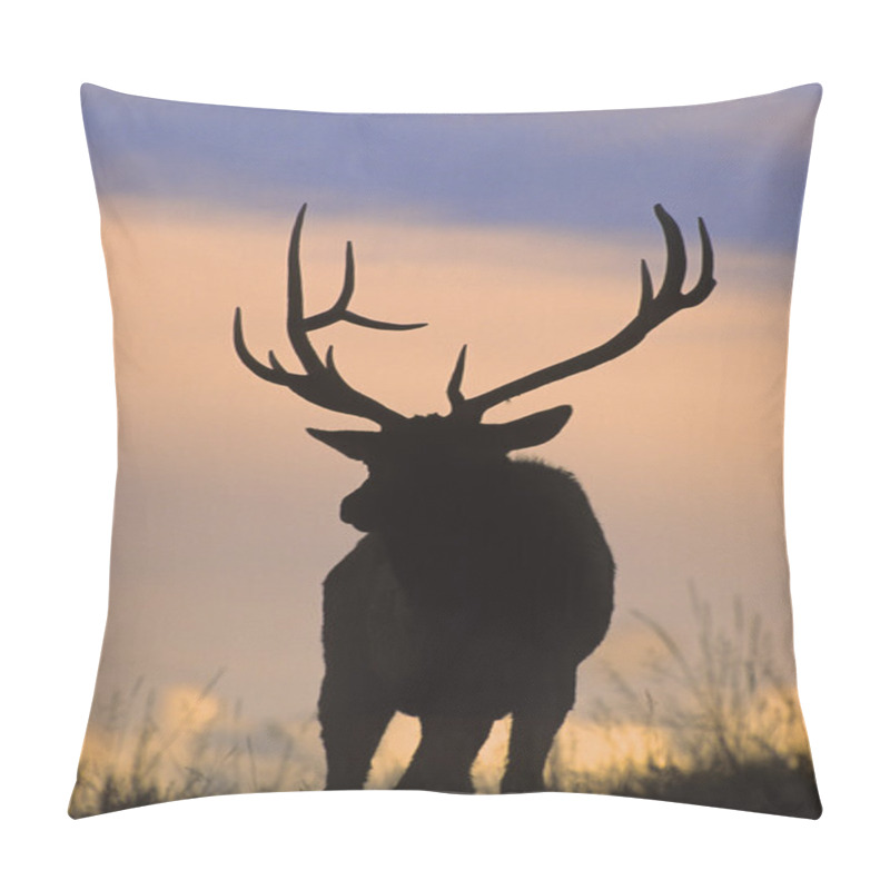 Personality  Bull Elk In Sunset Pillow Covers