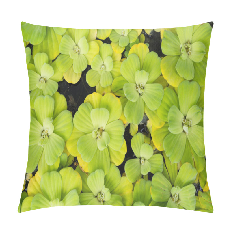 Personality  Green Duckweed Leaves Pillow Covers