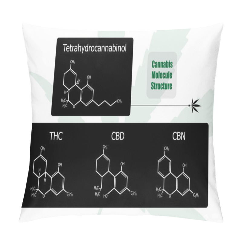 Personality  Molecular Structure Chemistry Formula Tetrahydrocannabinol  Pillow Covers